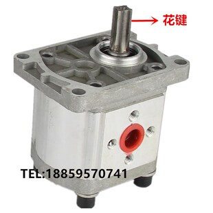 F304 齿轮油泵 20MPa CBN F310剪板机拖拉机升降台 F306