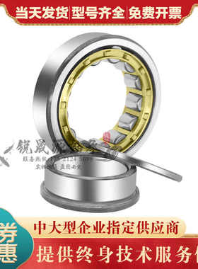 进口GAL 圆柱滚子轴承 NU NJ303 304 305 306 307 308 309 310 EM