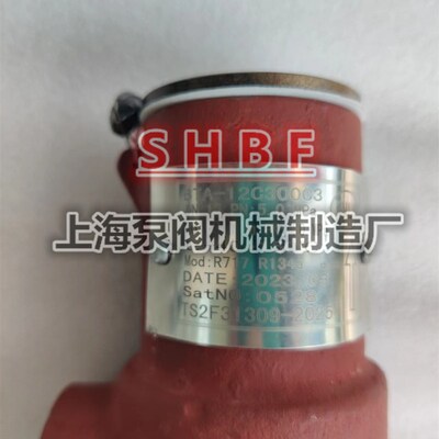 制冷氨用安全阀BTA-12C300C3 12DG13FNCF氟利昂液氨安全阀DN15 20