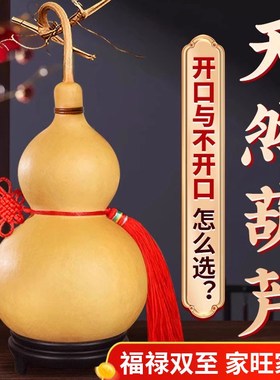 天然葫芦挂件真木胡芦带龙头招财开口门对门客厅玄关摆件大号文玩