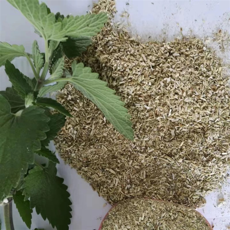 猫薄荷粉散装猫薄荷猫玩具天成猫抓板填充宠物用品厂家