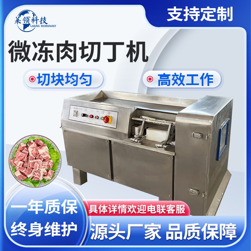 商用350型微冻肉切丁机 冻牛肉立式切丁机器 不锈钢肉类切粒设备