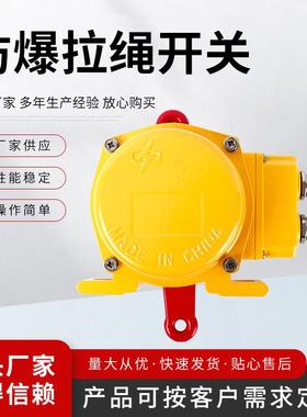 双向 拉绳开关带接线盒手动拉绳开关 KLT2-Z2 HFKLT2-II