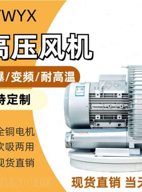 Vortex&blower RB-83D-3 7500W负压气泵吹水高压风机高压漩涡风机