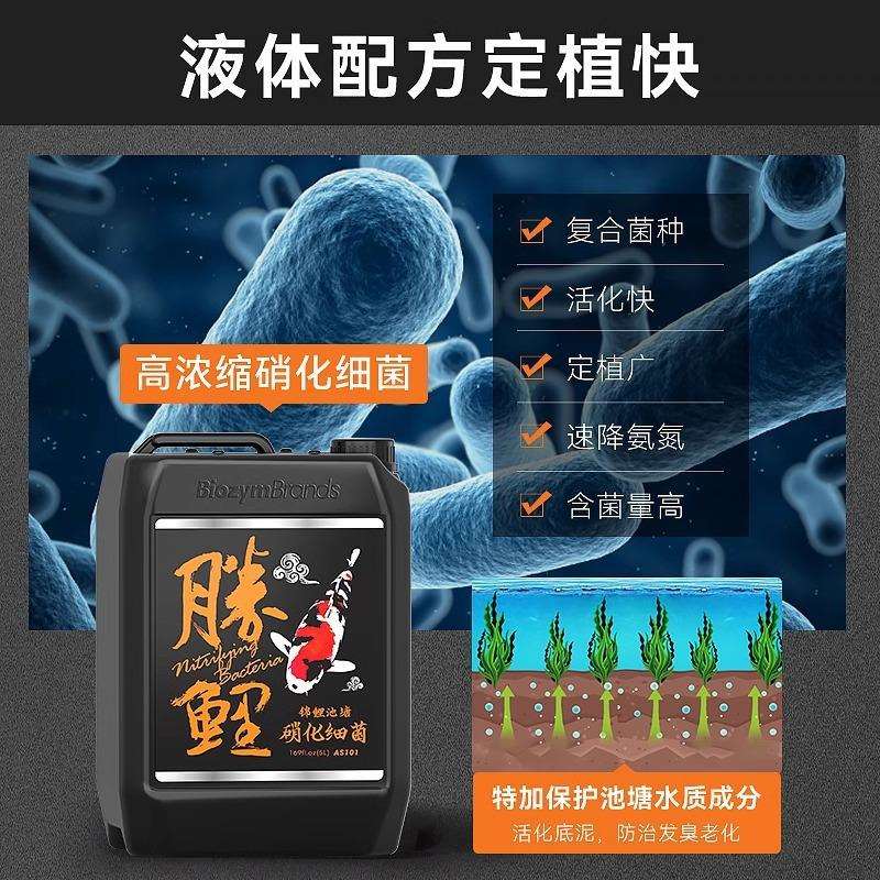BIOZYM百因美硝化细菌锦鲤鱼池水质清澈剂除藻剂净水剂鱼缸稳定剂