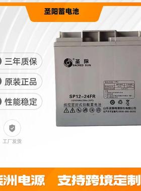 圣阳蓄电池12v24AH 直流屏 SP12-24FR 光伏发电 铅酸免维护电池