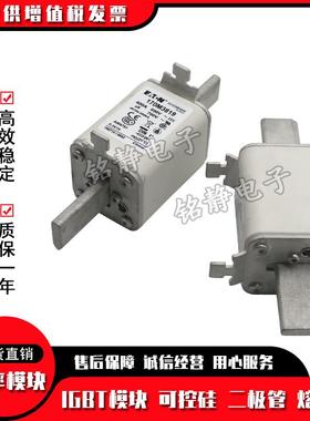 170M2678 170M2679巴斯曼熔断器170M2680 170M2681