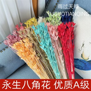 八角花干燥花森系复n古插花材料包自然田园树枝装 饰品花篮插花家