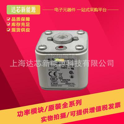 170M3408 170M3409 170M3410 170M3411 170M3412 170M3413熔断器