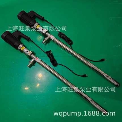 上海旺泉HD-EX2-V+SS316L-1000HV250-VT高粘度插桶泵、螺杆插桶泵