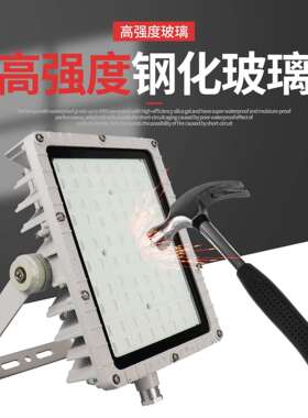 BFC8115LED泛光灯60W厂房隔爆型投光灯100W户外防水路灯式防爆灯