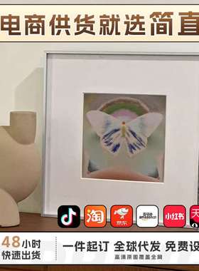 Metamorphose蝴蝶视觉艺术客厅装饰画北欧小众卧室挂画桌面摆画