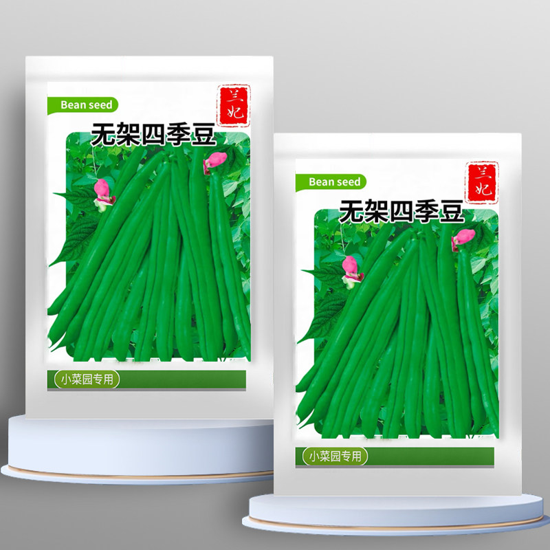 无架四季豆早熟地豆种子四季豆种子矮生不搭架阳台可盆栽蔬菜种子