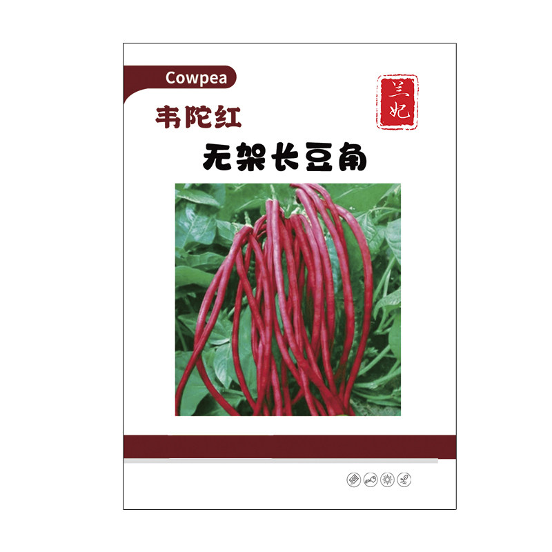 兰妃豇豆种子懒人红无架长豆角种