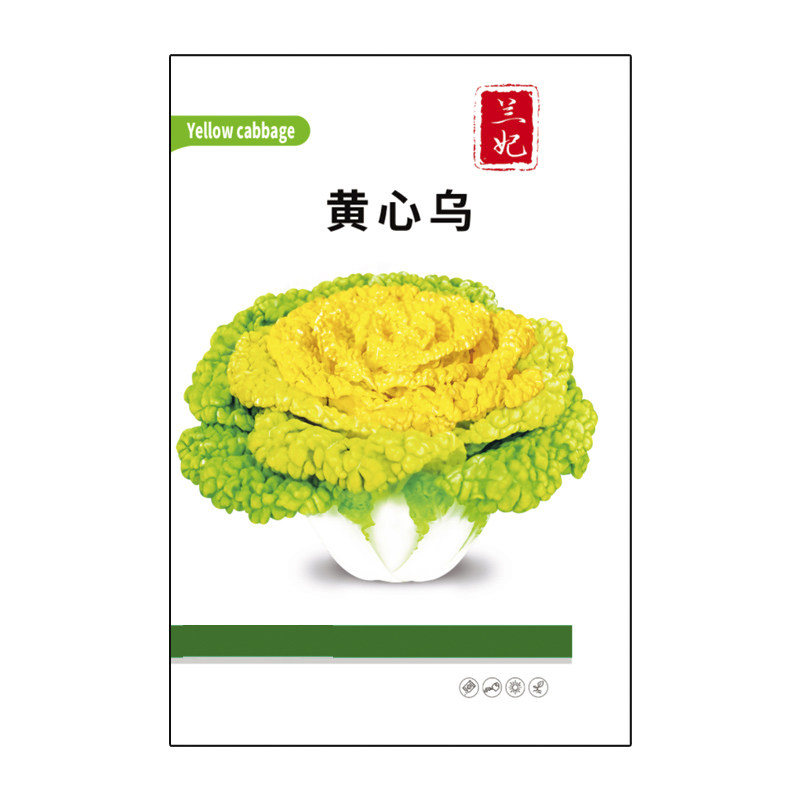 兰妃蔬菜种子黄心乌种子