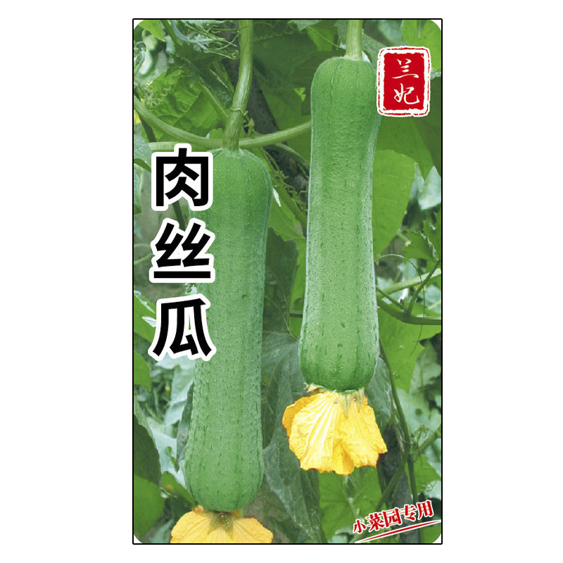 兰妃蔬菜种子肉丝瓜种子