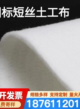 国标聚酯长丝短丝土n工布白色滤水无纺布园林绿化公路养护透水保