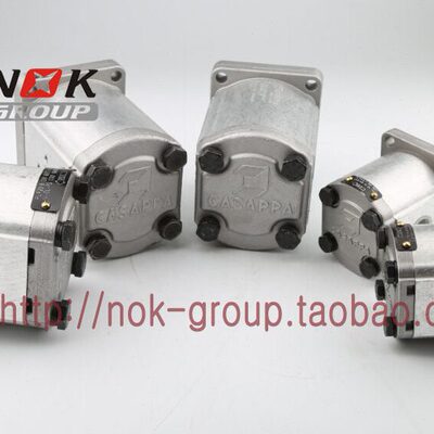 ./A8BBN-L1DB58SA0EPAPP意大利-10LPCA1 FSLE-.齿轮泵-