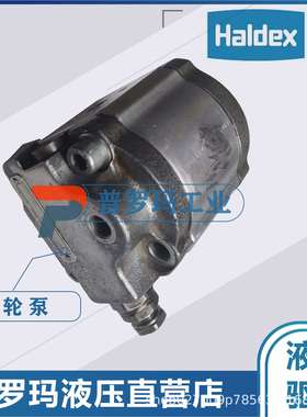 原装瑞典HALDEX齿轮泵WP09A1B110R03BA121N/1802021液压马达油泵
