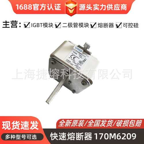 全新原装现货170M6209 170M6210 170M6212低压熔断器 标准封装