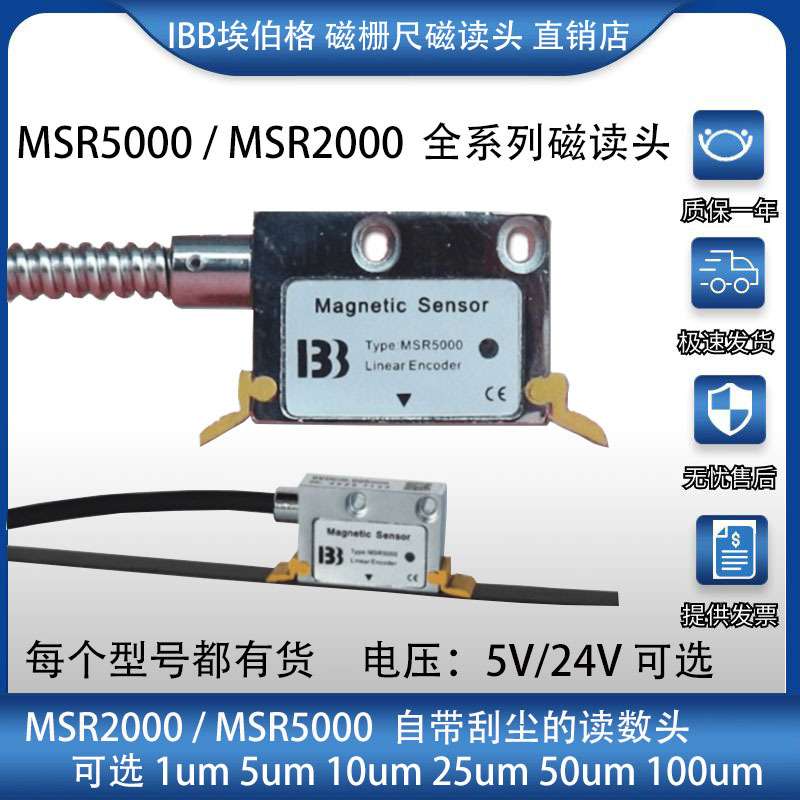 IBB读数头MSR5000磁栅尺磁读头MSR2000/1UM/ZAVY MSR500读数头