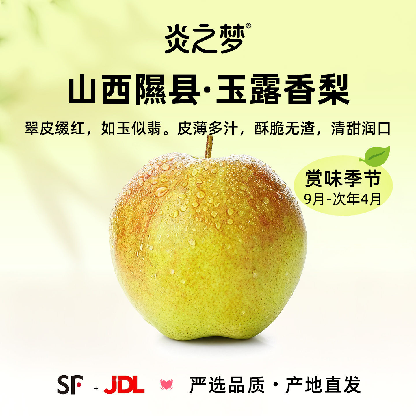 正宗山西隰县玉露香梨产地直发