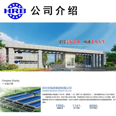 HRB 哈尔滨轴承 7303 7304 7305 7306 7307 AC P5 配对 DB DF DT