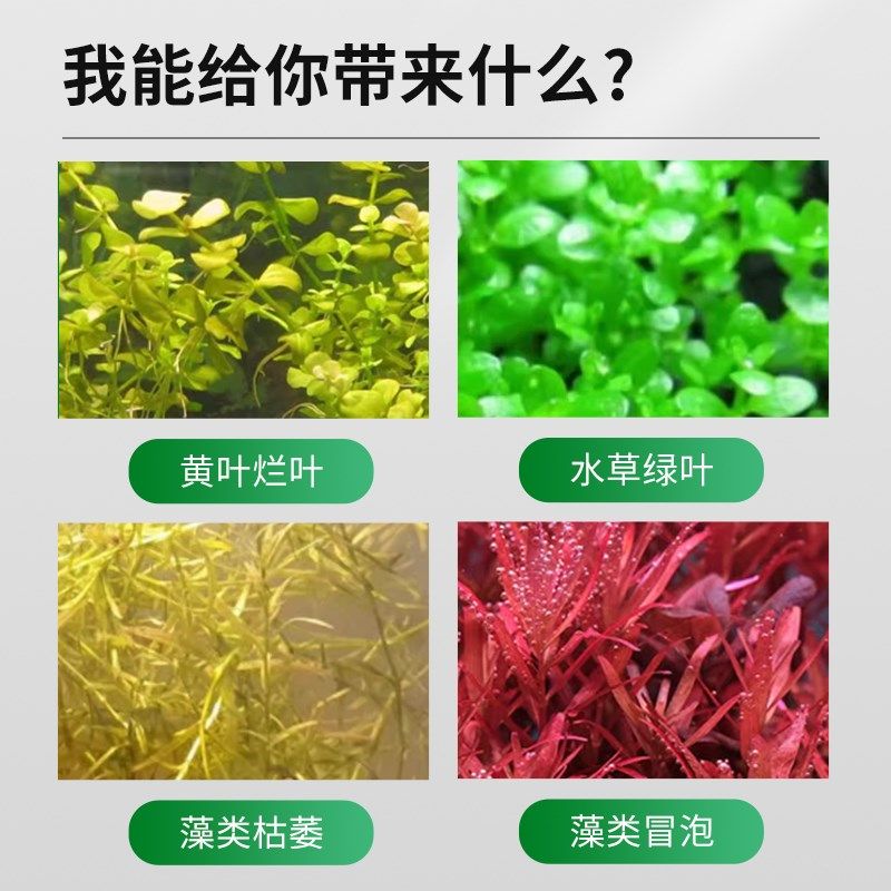 鱼缸二氧化碳发生器自制二氧化碳钢瓶CO2水草缸DIY细化器