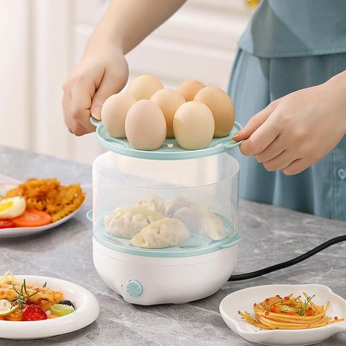HD-150B多功能早餐蒸蛋器家用能小型蛋器蒸宿舍神W器迷你智防动干