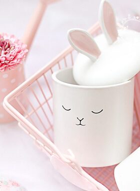 小收纳罐罐害羞兔哑光萌糖啦立体棉签翻陶瓷收纳首饰收纳兔兔