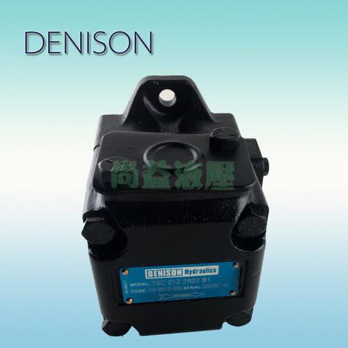 T6C 008/010/012 1R00/1R01/1R02/1R03 A1/B2 DENISON 丹尼逊