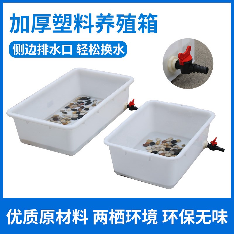 养殖龟箱带排水阀周转箱长方形加厚胶框塑料乌龟T箱养鱼缸家用养
