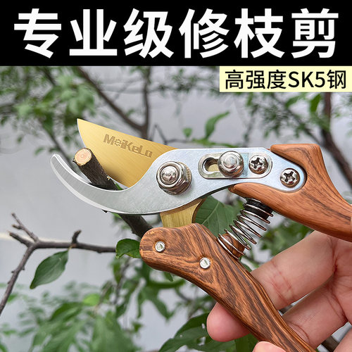 修枝剪园艺剪刀剪树枝专用园林修剪果树修枝花艺修花剪剪枝剪粗枝