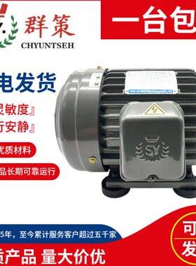 台湾SY群策C05-43BO C02/C01/C7B/C10 -43BO内轴电机 3.75/2.25KW