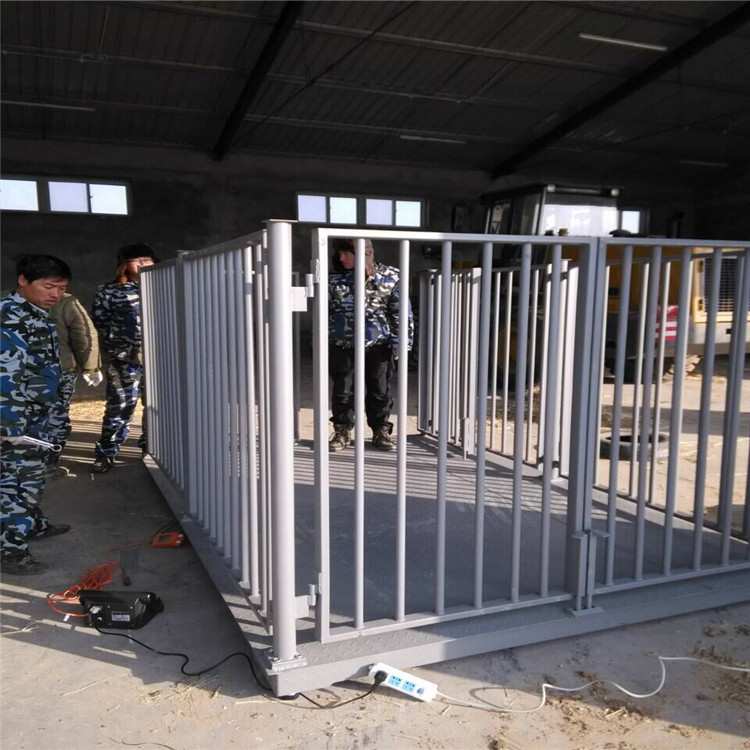 1吨带围栏畜牧电子秤 1.5*2m称猪电子秤 包头2T动物电子地磅