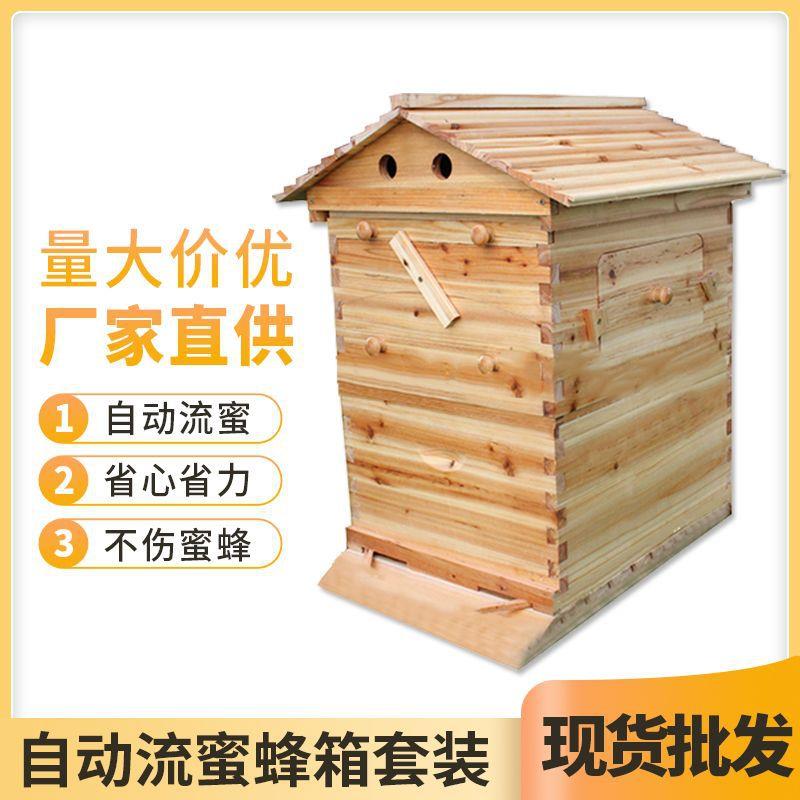自流蜜箱套装 自动流蜜蜂箱 自动流蜜巢脾 塑料巢脾 出口蜂箱
