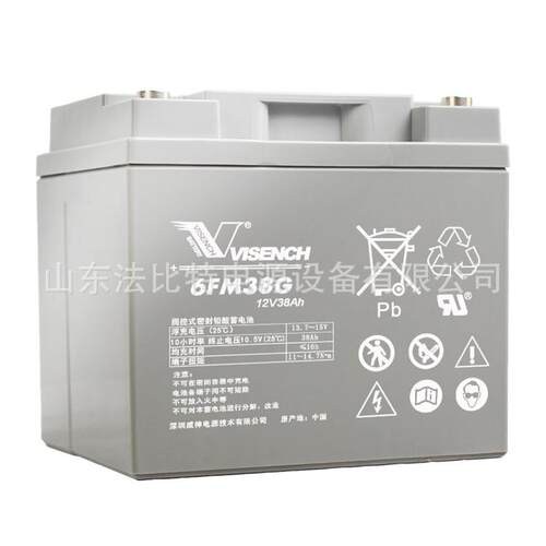 威神铅酸蓄电池6FM38G三瑞12V38Ah直流屏EPS 量大从优 VISION