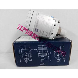 现货PMC133 1B1F3P6T压力变送器0-100mbar德国E+H