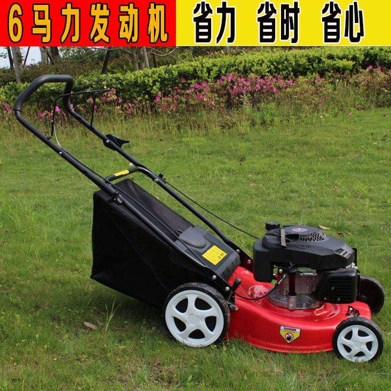 源头工厂四冲程手推割草机 农用草坪碎草打草机 汽油自走式除草机