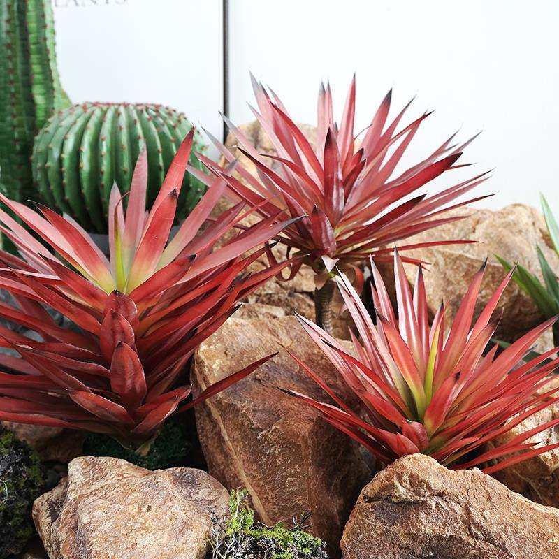 红叶剑兰盆栽沙生植物防真龙舌兰剑麻热带沙漠绿植造布景装饰,玩具/童车/益智/积木/模型,毛绒/玩偶/公仔/布艺类玩具,淘宝优惠券,粉丝福利购,淘宝优惠卷