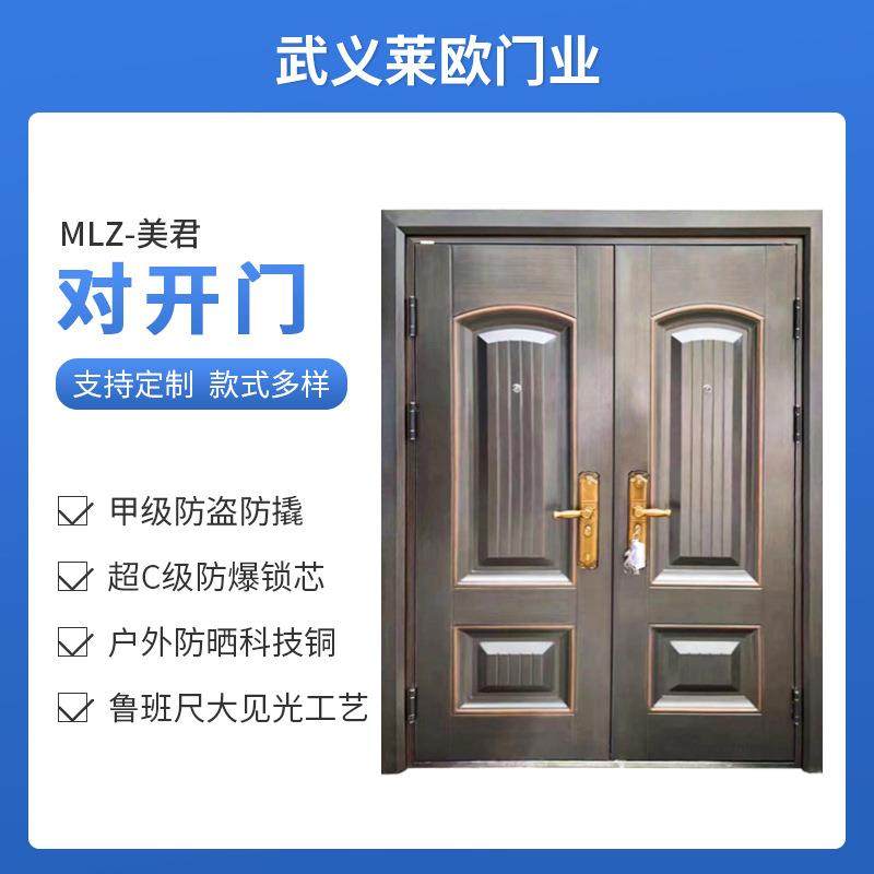 甲级进户门甲级防盗门隔音入户门对开门平开门非标门,鲜花速递/花卉仿真/绿植园艺,割草机/草坪机,淘宝优惠券,粉丝福利购,淘宝优惠卷