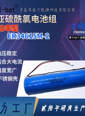 ER34615M-2 1S2P 3.6V29Ah功率型锂亚电池并联组合物联网智能仪表