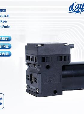 气体隔膜泵DS05 DCB-B 真空泵直流12V微型真空气泵气体采样泵
