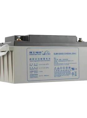 LEOCH理士电池DJM1265S 12V65AH