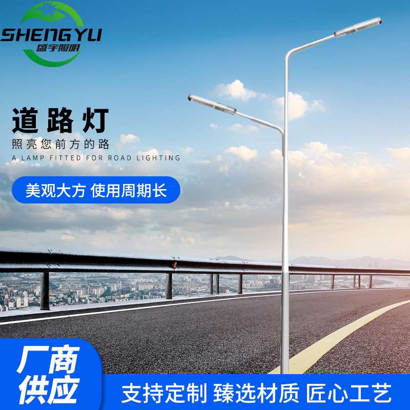 9米单臂双臂路灯杆led户外照明灯单挑双挑灯市政市电路灯户外杆