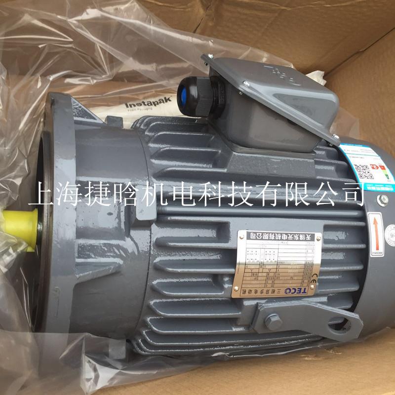 TECO东元电机三相异步马达25HP 18.5KW 4P AEEFF3 AEVFF3 IE2