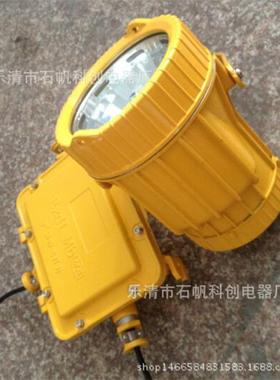 BTC8200防爆投光灯 西塔照明