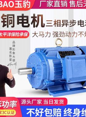 2/2.05.全铜电机75/./.三相异步电动机507.5/千VK瓦W381.5113///4