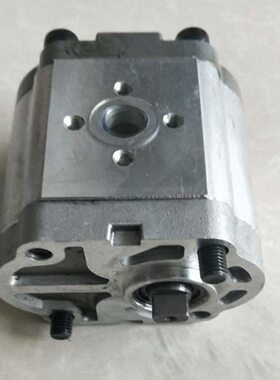 14  303104 6 E 30L16E06EL5323L-EL L30L3 B 310E32NE齿轮泵LCE