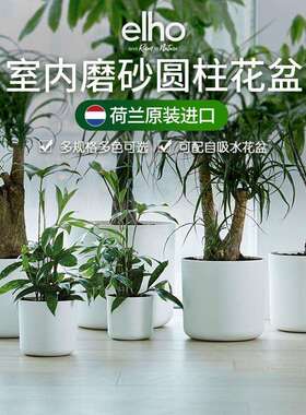elho花盆北欧白色绿植现代塑料套盆自动自吸水盆景盆塑料盆大